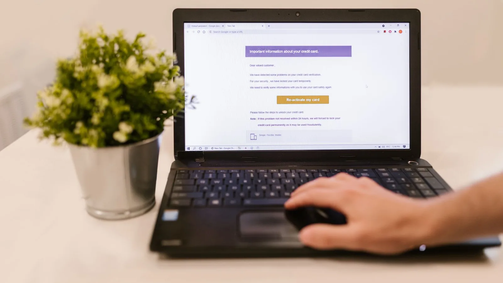 Person using a laptop to read an email indoors beside a potted plant.