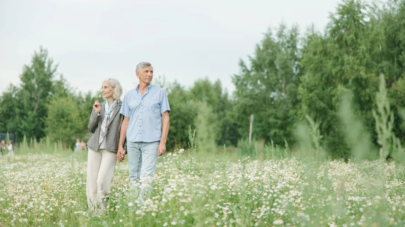 A senior couple enjoying a peaceful walk through a lush flower field on a sunny day.